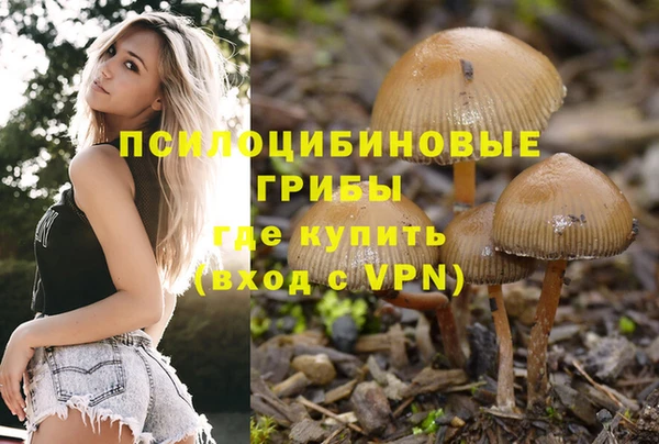 хмурый Балабаново