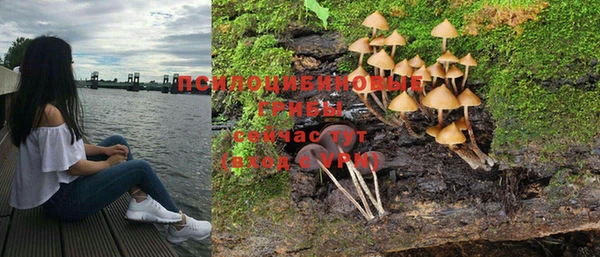 хмурый Балабаново