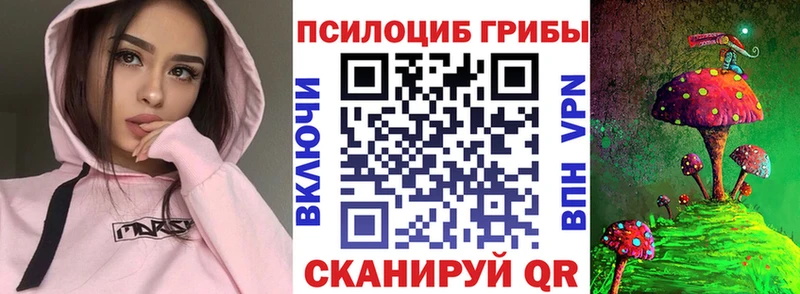 Псилоцибиновые грибы GOLDEN TEACHER  Купить где  Алексин 